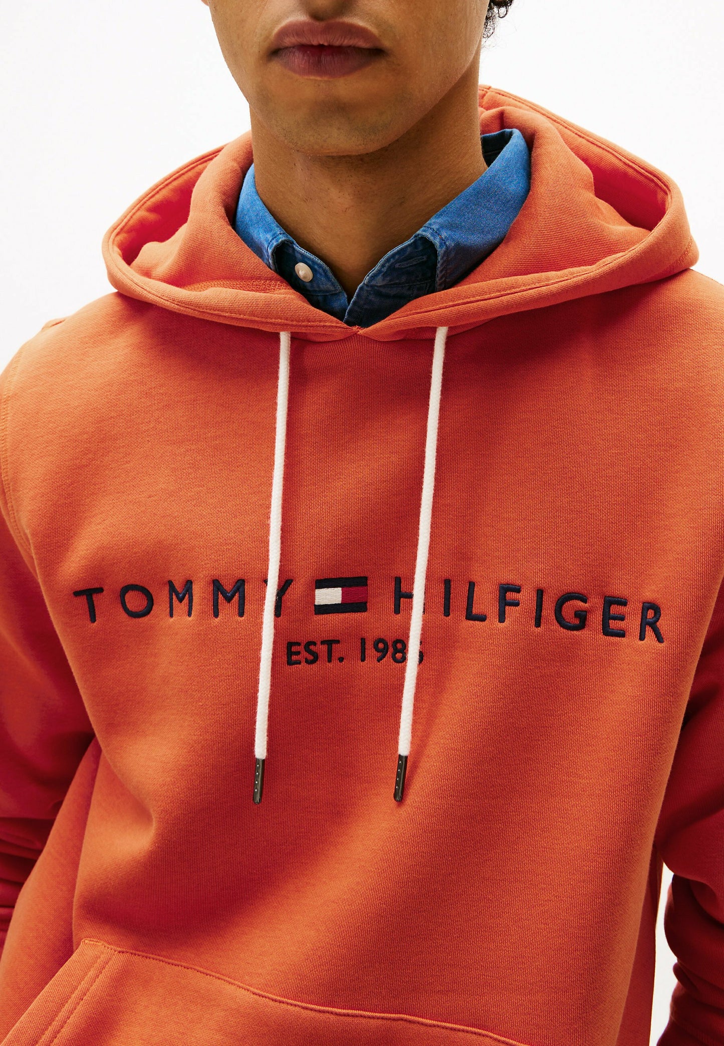 Tommy Hilfiger LOGO - Sweat à capuche